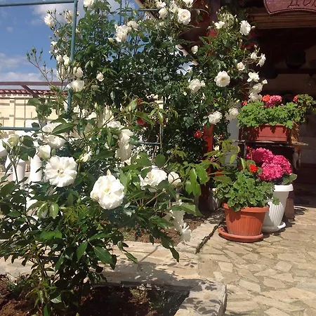 Rose Garden Guest house